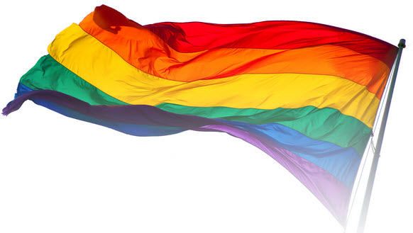 Flaglets Raimbow Rainbow Flags | AZ Flags Galore and More Store