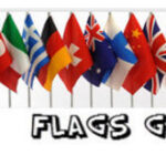 4 x 6 Inch State Stick Flags