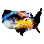 USA Shape Eagle Oil Painting Wall Art
