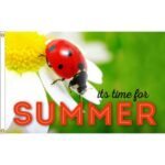 Ladybug It is Time for Summer 3’x5′ Flag Made in USA