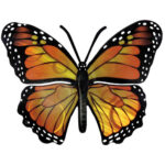 Monarch Butterfly Wall Art