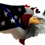 USA Shape Eagle on Flag Wall Art
